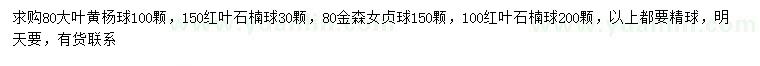 求購大葉黃楊球、紅葉石楠球、金森女貞球等