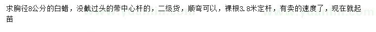 求購胸徑8公分白蠟