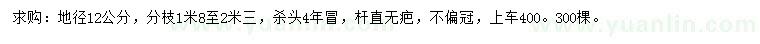 求購地徑12公分白玉蘭