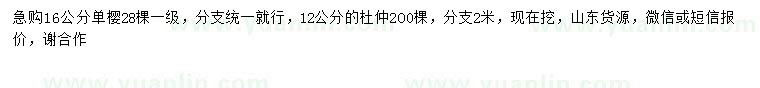 求購(gòu)16公分單櫻、12公分杜仲