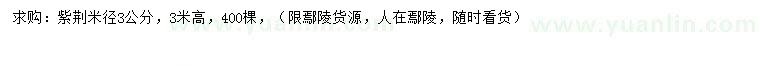 求購米徑3公分紫荊