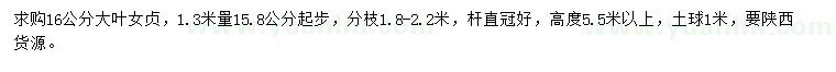 求購1.3米量16公分大葉女貞