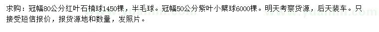 求購(gòu)冠幅80公分紅葉石楠球、50公分紫葉小檗球