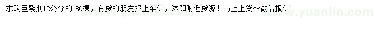 求購12公分巨紫荊