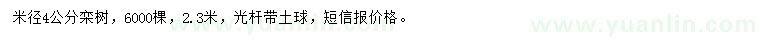 求購米徑4公分欒樹