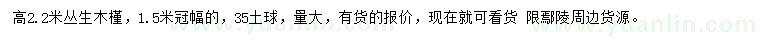 求購(gòu)高2.2米木槿