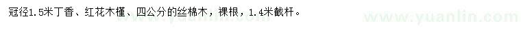 求購丁香、紅花木槿、絲棉木