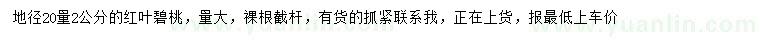 求購20量2公分紅葉碧桃