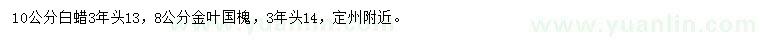 求購(gòu)河10公分白蠟、8公分金葉國(guó)槐