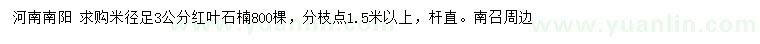 求購米徑足3公分紅葉石楠
