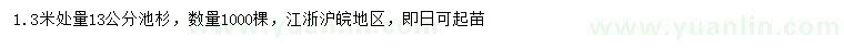 求購(gòu)13公分池杉