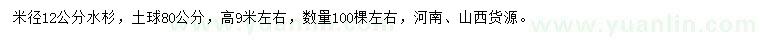 求購米徑12公分水杉