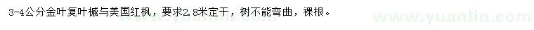 求購3-4公分金葉復(fù)葉槭、美國紅楓