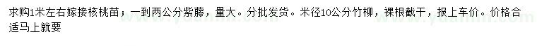 求購核桃苗、紫藤、竹柳