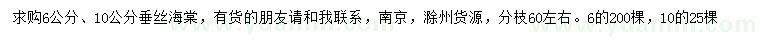 求購6、10公分垂絲海棠