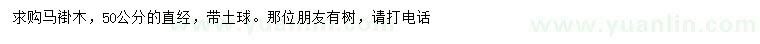 求購直徑50公分馬褂木