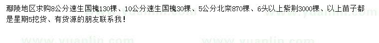 求購(gòu)速生國(guó)槐、北欒、紫荊