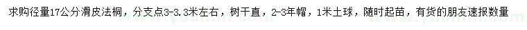 求購胸徑量17公分法桐