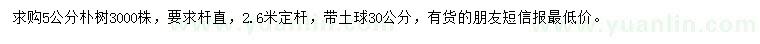 求購(gòu)5公分樸樹(shù)