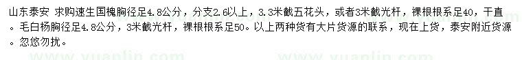 求購胸徑足4.8公分速生國槐、毛白楊