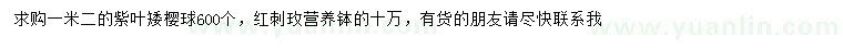 求購1.2米紫葉矮櫻球、紅刺玫