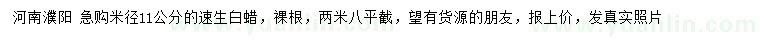 求購(gòu)米徑11公分速生白蠟