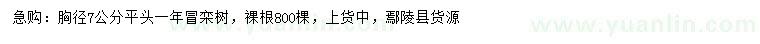 求購胸徑7公分欒樹