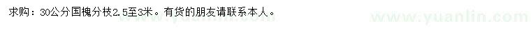求購30公分國槐