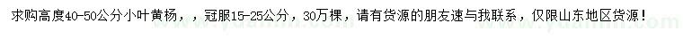 求購高度40-50公分小葉黃楊