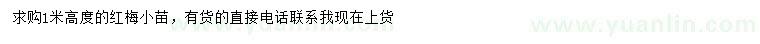 求購高度1米紅梅小苗