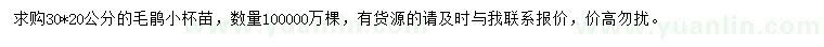求購30*20公分毛鵑