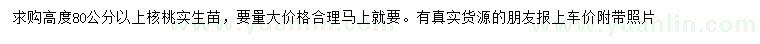 求購(gòu)高度80公分以上核桃實(shí)生苗