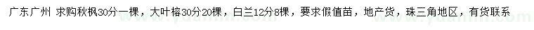 求購秋楓、大葉榕、白蘭