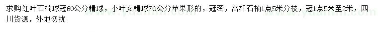 求購紅葉石楠球精球、小葉女精球、高桿石楠