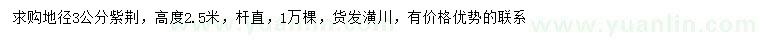 求購地徑3公分紫荊