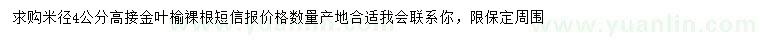求購米徑4公分高接金葉榆