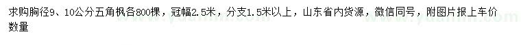 求購胸徑9、10公分五角楓