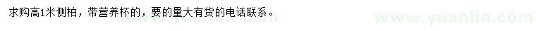 求購高1米側(cè)柏