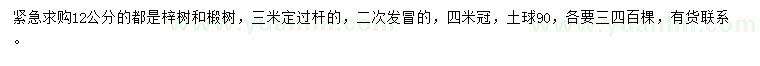 求購12公分梓樹、椴樹