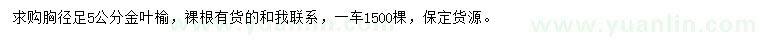 求購胸徑足5公分金葉榆