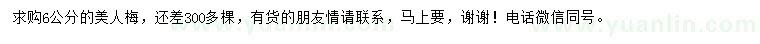求購6公分美人梅