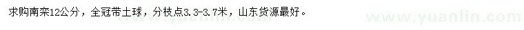 求購12公分南欒