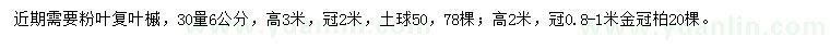 求購30量6公分粉葉復(fù)葉槭、高2米金冠柏