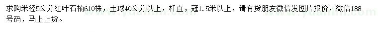 求購(gòu)米徑5公分紅葉石楠