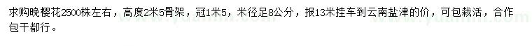 求購米徑足8公分晚櫻花