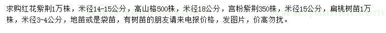 求購紅花紫荊、高山榕、宮粉紫荊等