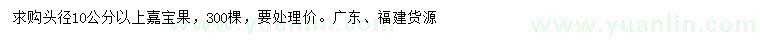 求購頭徑10公分以上嘉寶果