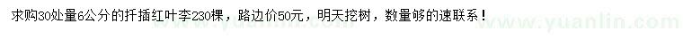 求購30量6公分紅葉李