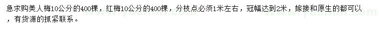 求購(gòu)10公分美人梅、紅梅