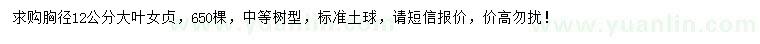 求購胸徑12公分大葉女貞